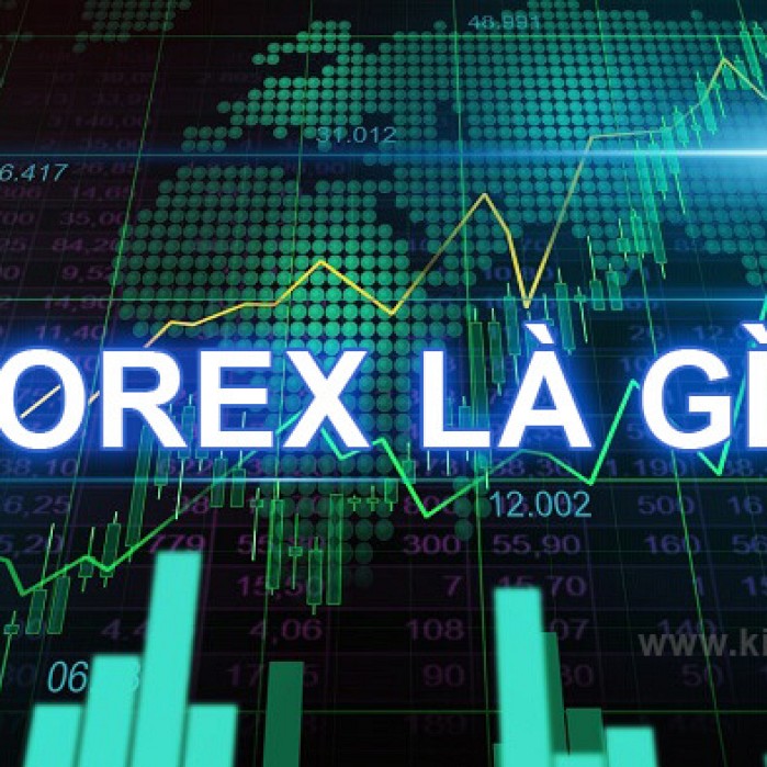 Thị trường Forex là gì và kiếm tiền từ Forex như thế nào ?